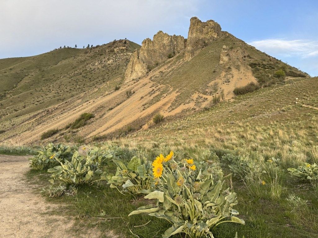 Saddle Rock and spring wildflowers above Wenatchee, Washington